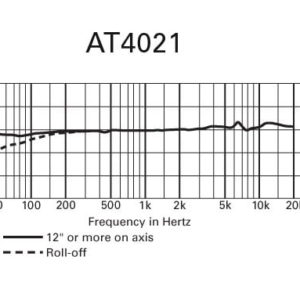 Audio Technica AT4021 - DM Music Ltd